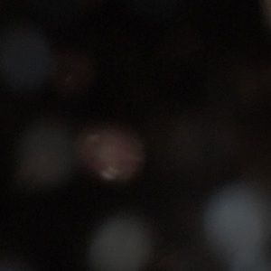 Meet your Posher, Ella